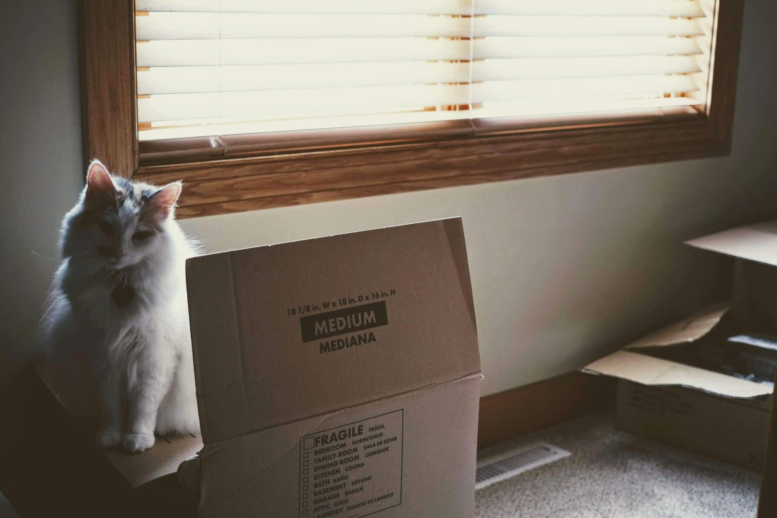 Professional packing supplies and moving boxes for Fargo-Moorhead relocations